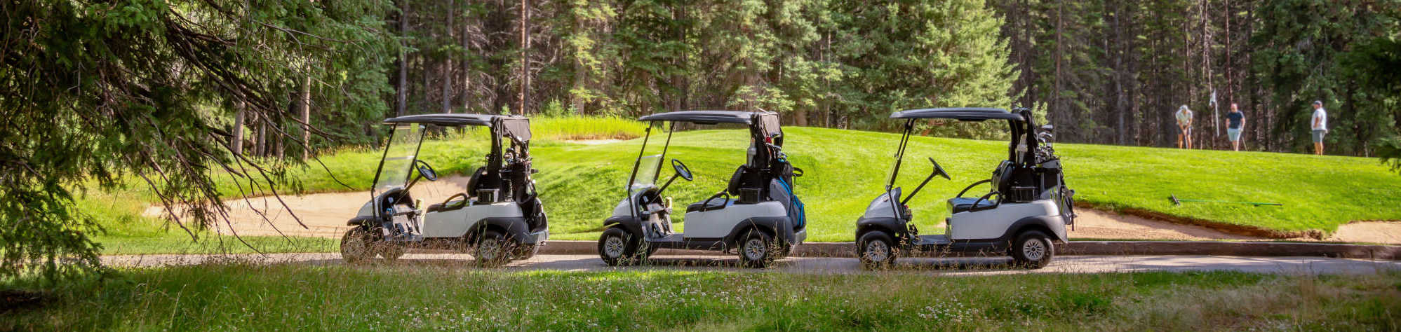 Hyde Mountain Golf Course